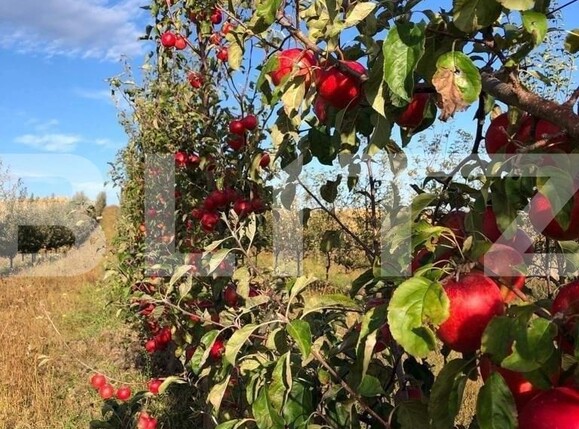 Teren de vânzare Exterior Est - 127028TV | BLITZ Suceava | Poza4
