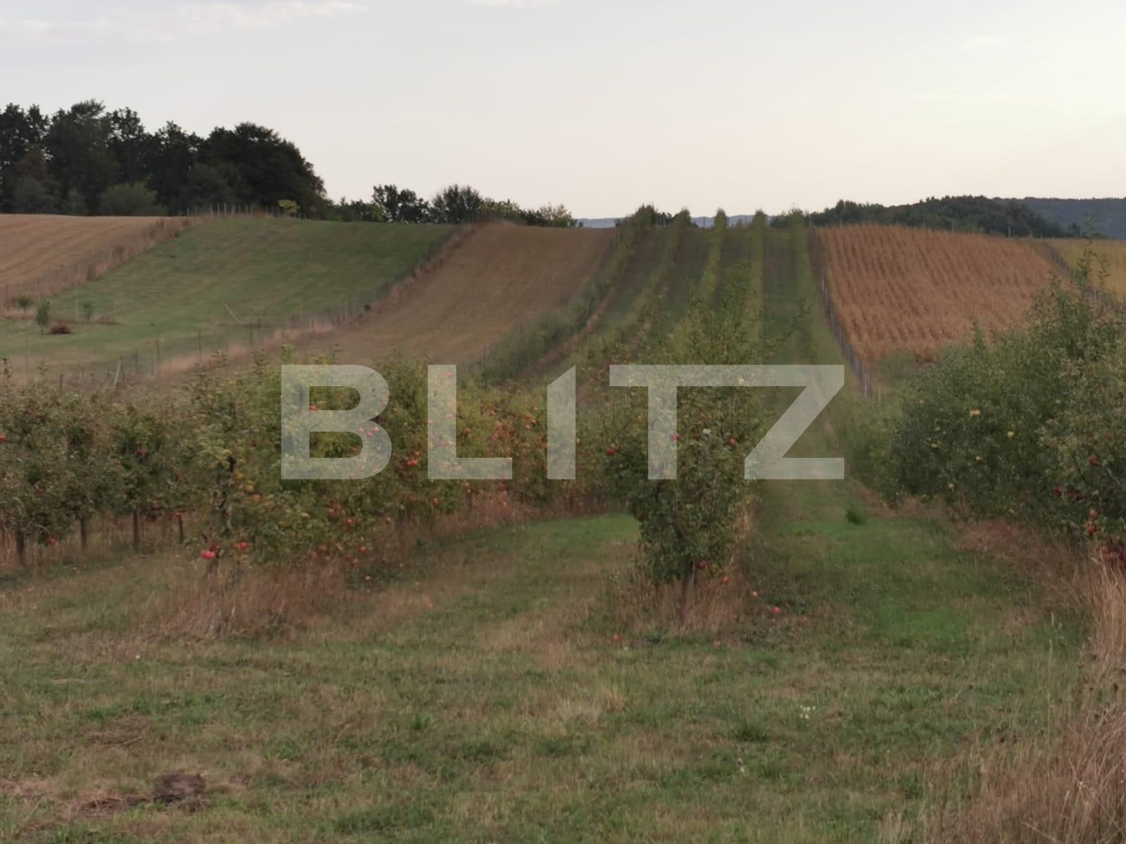 Teren de vânzare Exterior Est - 127028TV | BLITZ Suceava | Poza6