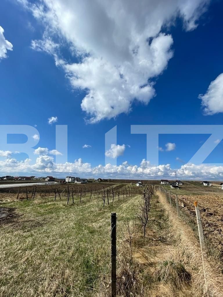 Teren de vânzare Exterior Est - 127028TV | BLITZ Suceava | Poza2