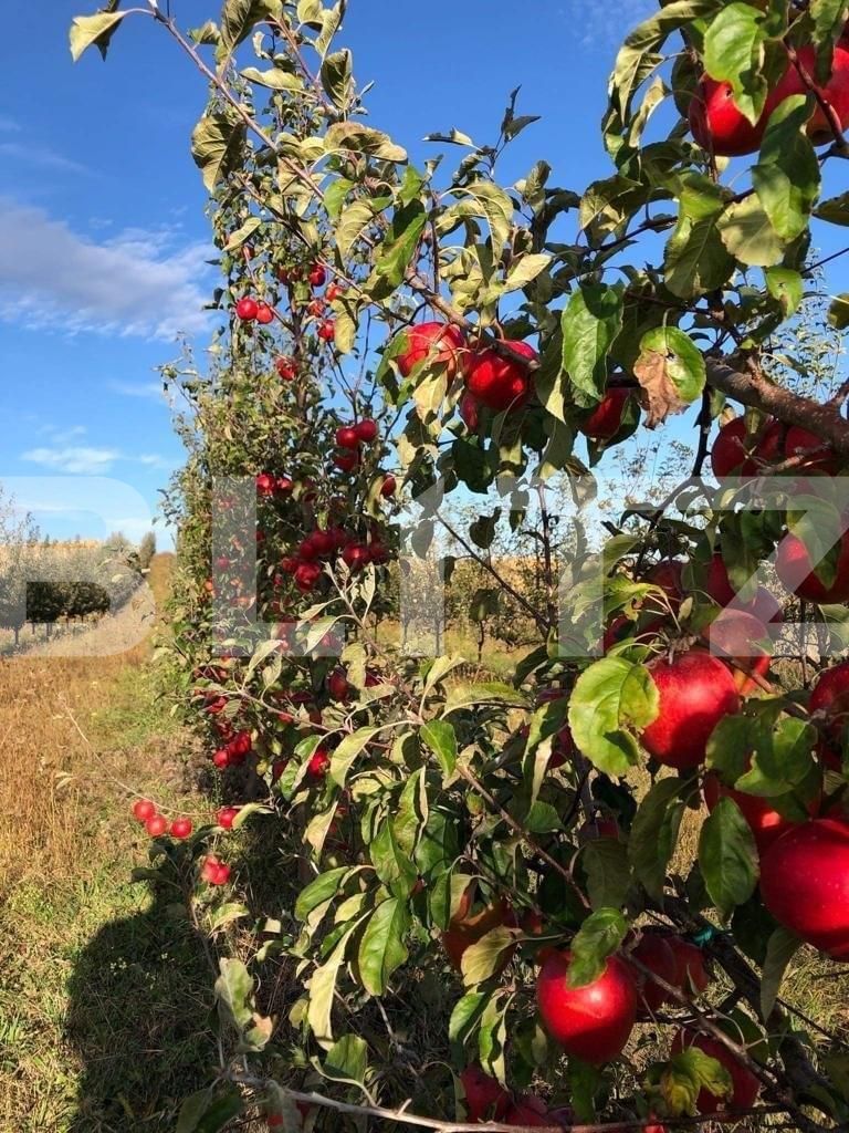 Teren de vânzare Exterior Est - 127028TV | BLITZ Suceava | Poza4