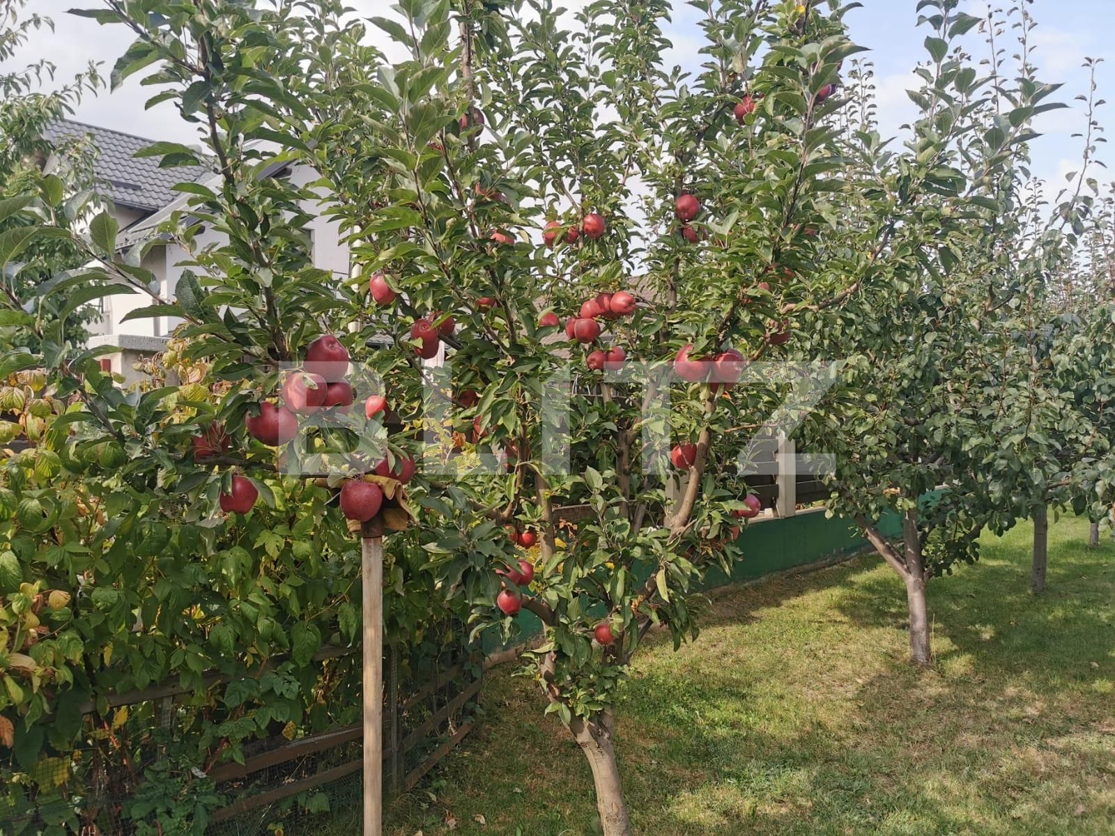 Casa de vânzare 3 camere Ipotesti - 127231CV | BLITZ Suceava | Poza19