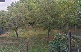 Casa, 93mp, zona centrala 