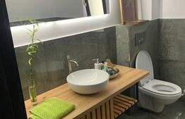 Casa individuala 3 camere, 200 mp, cartier Sf.Ilie