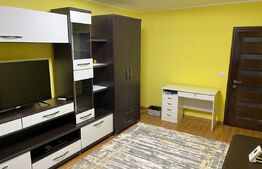 Apartament 2 camere, 48 mp, zona Miron Costin