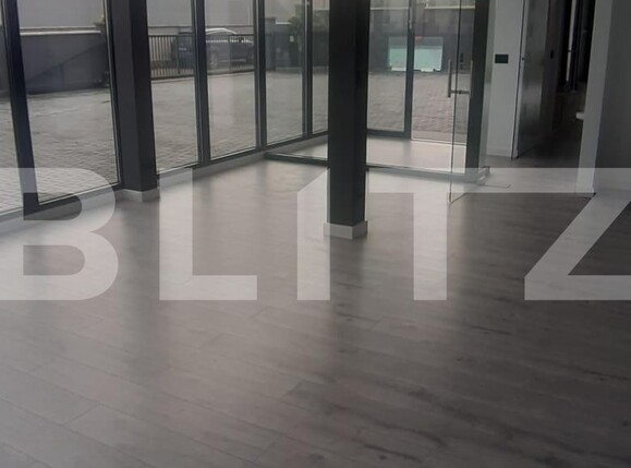 Spațiu industrial de închiriat Ipotesti - 128542SII | BLITZ Suceava | Poza8