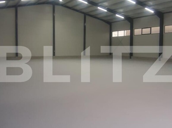 Spațiu industrial de închiriat Ipotesti - 128542SII | BLITZ Suceava | Poza3