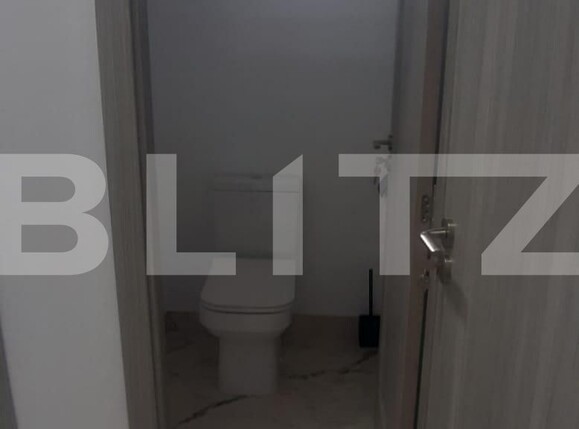 Spațiu industrial de închiriat Ipotesti - 128542SII | BLITZ Suceava | Poza12