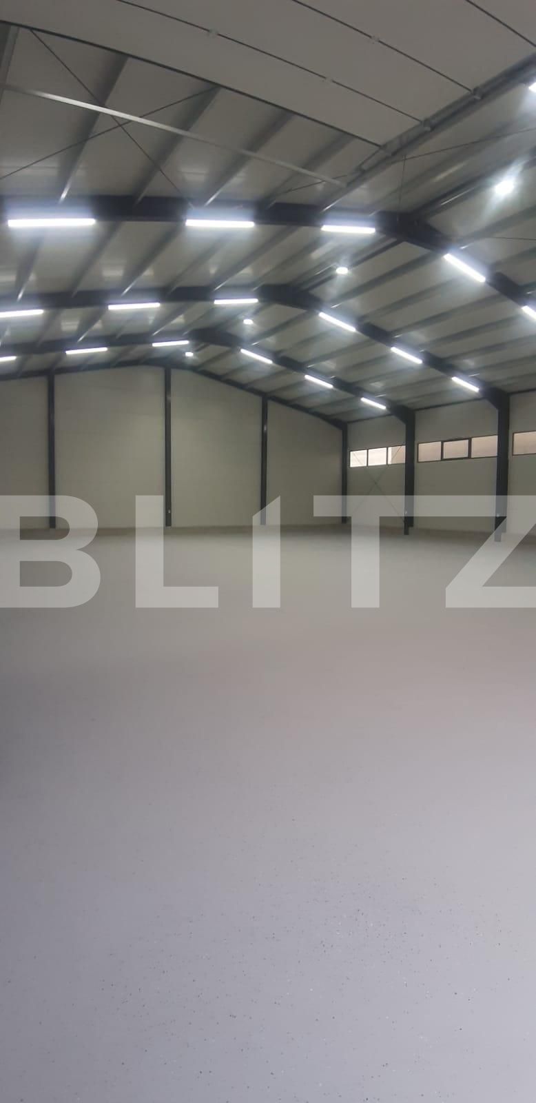 Spațiu industrial de închiriat Ipotesti - 128542SII | BLITZ Suceava | Poza3