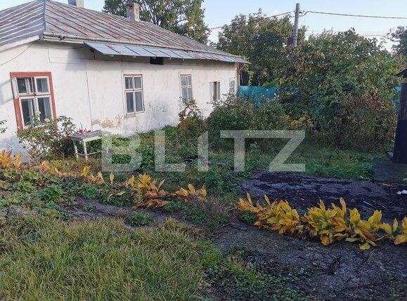 Casa de vânzare 5 camere Central - 128589CV | BLITZ Suceava | Poza3
