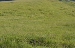 Teren Moara Bulai 3600mp