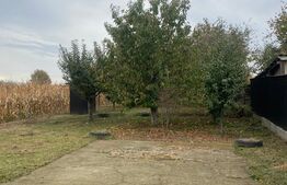 Casa + Livada in orasul Siret, 100mp