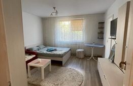 Microapartament, 38 mp, cartier Zamca