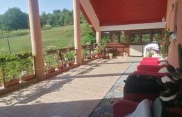 Casa cu arhitectura deosebita, iaz, panouri solare, 370mp, zona Adancata