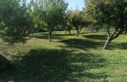 Casa cu arhitectura deosebita, iaz, panouri solare, 370mp, zona Adancata