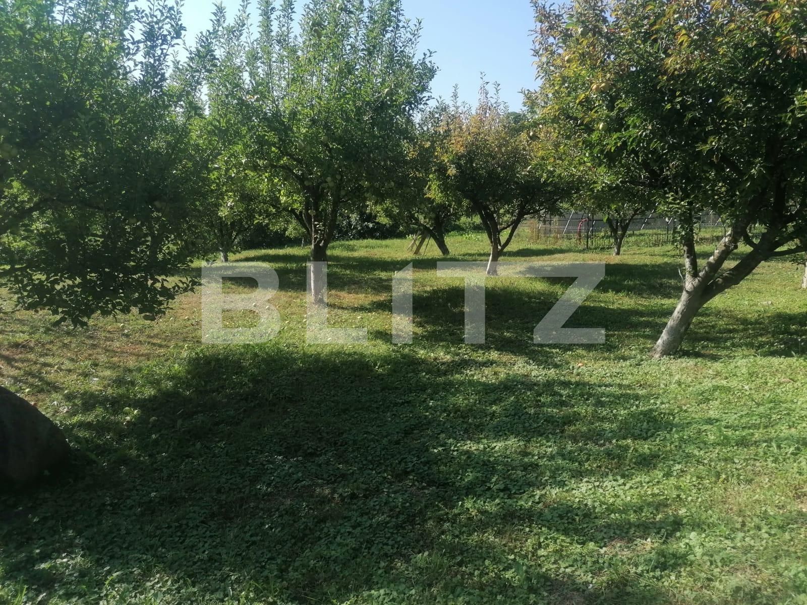 Casa de vânzare 8 camere Adancata - 129228CV | BLITZ Suceava | Poza4