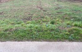 Teren intravilan de 1000 mp in Scheia