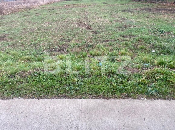 Teren de vânzare Scheia - 129246TV | BLITZ Suceava | Poza1