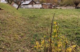 Teren intravilan, Paltinoasa, 3900 mp