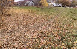 Teren intravilan, Paltinoasa, 3900 mp