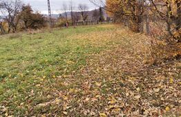 Teren intravilan, Paltinoasa, 3900 mp