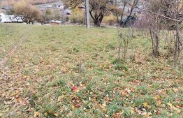 Teren intravilan, Paltinoasa, 3900 mp