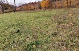 Teren intravilan, Paltinoasa, 3900 mp