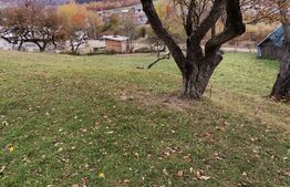 Teren intravilan, Paltinoasa, 3900 mp