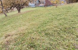 Teren intravilan, Paltinoasa, 3900 mp