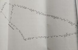 Teren 10000 mp, Dorna Arini 