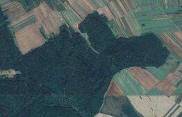 Pădure, 18200mp, Exterior Nord