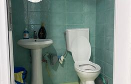 Spatiu comercial, 300mp, Piata Mica