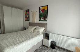 Oportunitate! Penthouse 156 mp utili, 64 mp terasa, cartier George Enescu