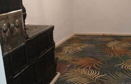 Casa 3 camere, 131mp, zona Vascauti - Siret