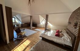 Casa individuala, 300 mp, teren 680 mp, zona Universității