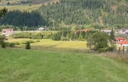 Teren intravilan 16.688 mp in Saru Dornei (video)