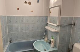 Afacere la cheie! 25mp, Zona Nordic 