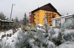 Oportunitate! Complex turistic Sadova  , 2000 mp utili, 9658 mp teren,restaurant,sauna, ciubar in aer liber