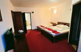 Oportunitate! Complex turistic Sadova  , 2000 mp utili, 9658 mp teren,restaurant,sauna, ciubar in aer liber