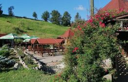 Oportunitate! Complex turistic Sadova  , 2000 mp utili, 9658 mp teren,restaurant,sauna, ciubar in aer liber