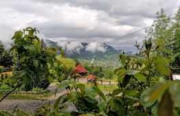 Oportunitate! Complex turistic Sadova  , 2000 mp utili, 9658 mp teren,restaurant,sauna, ciubar in aer liber