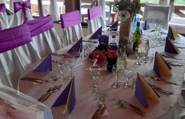 Oportunitate! Complex turistic Sadova  , 2000 mp utili, 9658 mp teren,restaurant,sauna, ciubar in aer liber