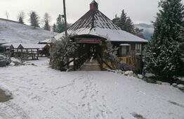 Oportunitate! Complex turistic Sadova  , 2000 mp utili, 9658 mp teren,restaurant,sauna, ciubar in aer liber