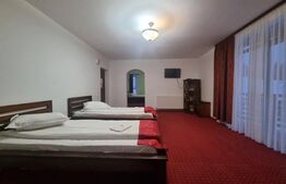 Oportunitate! Complex turistic Sadova  , 2000 mp utili, 9658 mp teren,restaurant,sauna, ciubar in aer liber