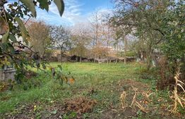 Casa Individuala ,Orasul Siret , 900mp