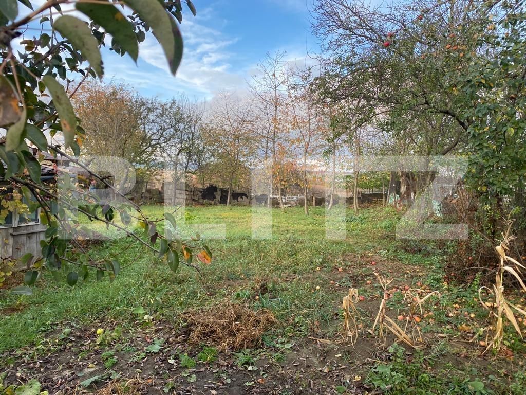 Casa de vânzare 3 camere Siret - 130174CV | BLITZ Suceava | Poza7