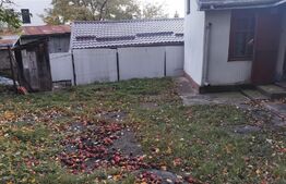 Casa batraneasca, 3 camere, 60mp, zona Ultracentral