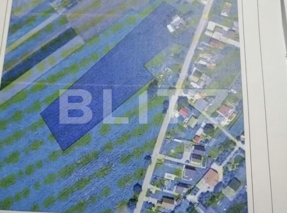 Teren de vânzare Frumoasa - 130620TV | BLITZ Suceava | Poza1