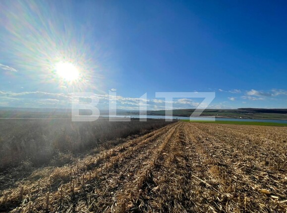 Teren de vânzare Mitocu Dragomirnei - 130684TV | BLITZ Suceava | Poza3