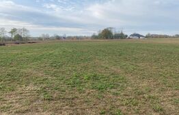 Teren Salageni, Dumbraveni - 3900mp