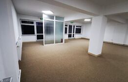 Spatiu comercial, 184 mp,  zona  Radauti